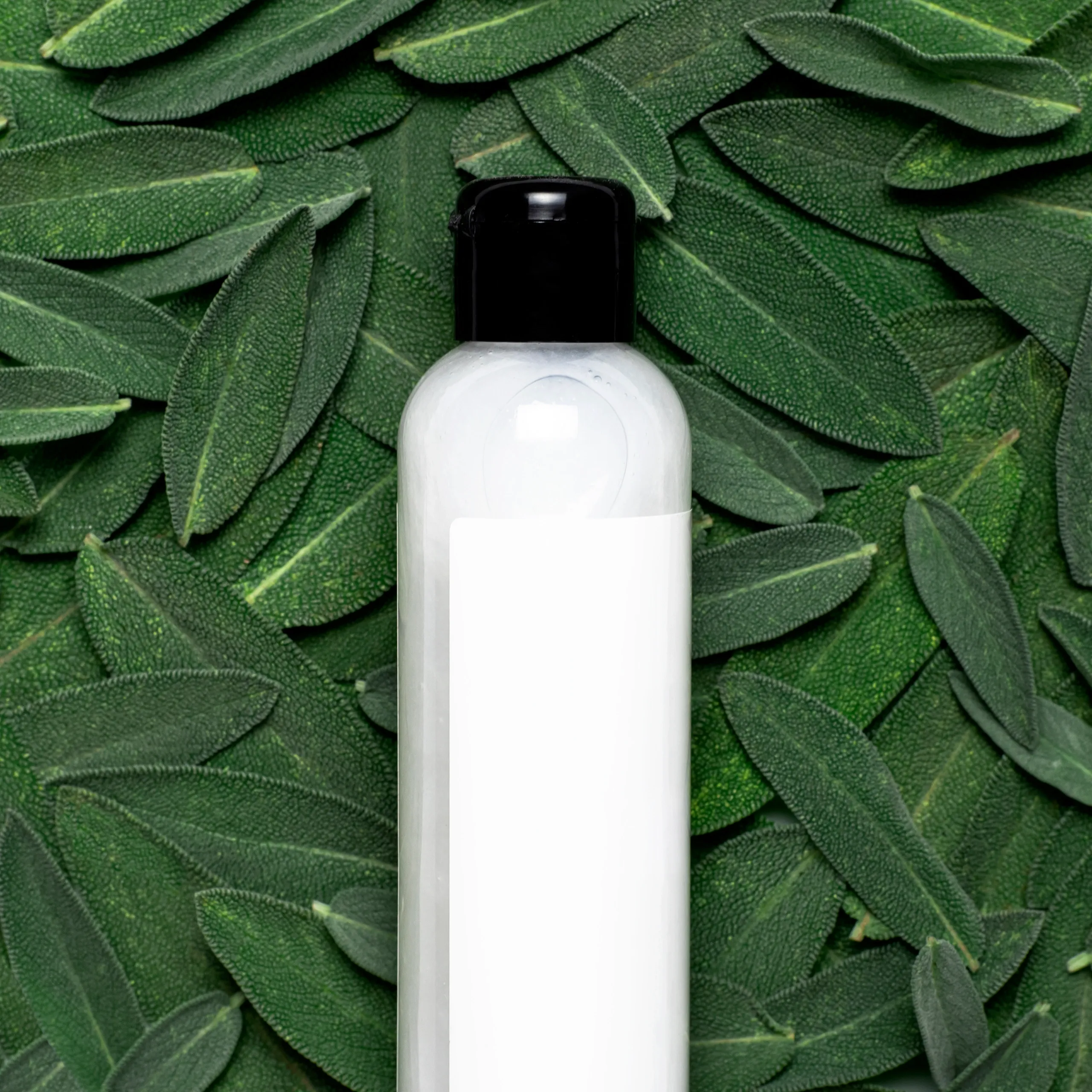 Botanical Hair Shampoo
