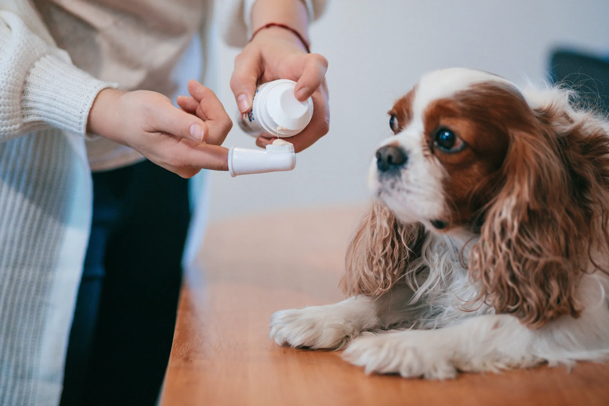 Antifungal Cream