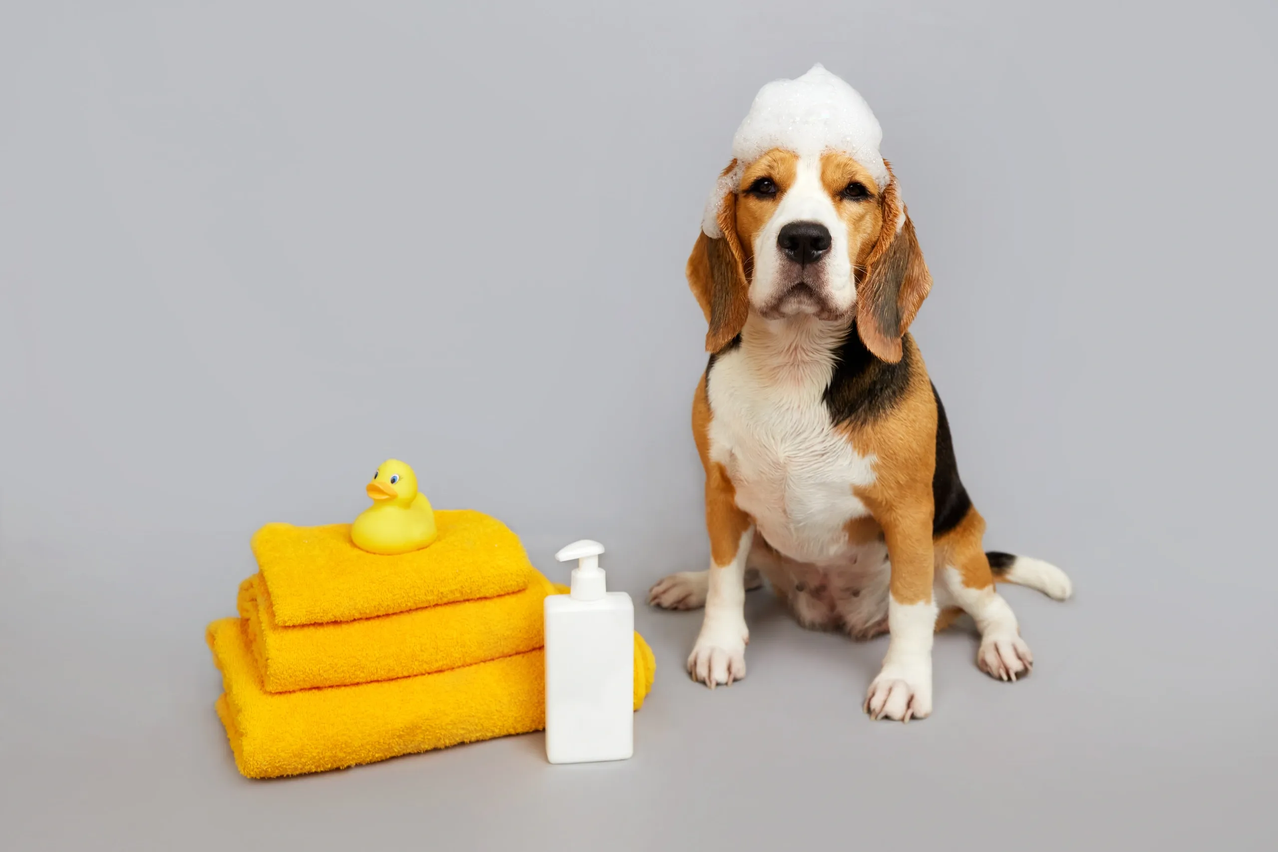 Puppy Shampoo